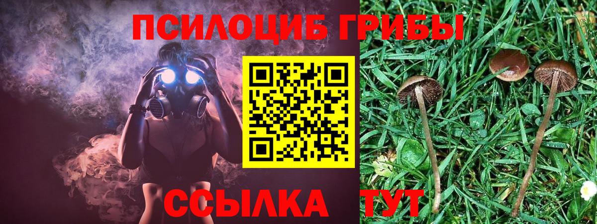 Галлюциногенные грибы GOLDEN TEACHER Котлас