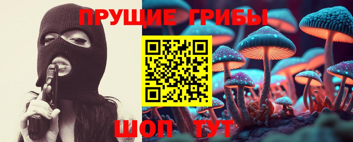 Котлас  магазин продажи   Вход с VPN  Псилоцибиновые грибы прущие грибы 